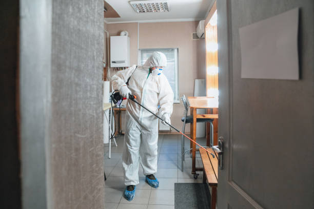 Best Mold Remediation for Healthcare Facilities  in Coventry Lake, CT