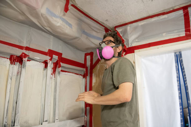 Best Environmental Consulting for Mold Prevention  in Coventry Lake, CT