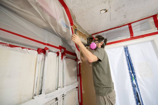 Best Dehumidification Services  in Coventry Lake, CT