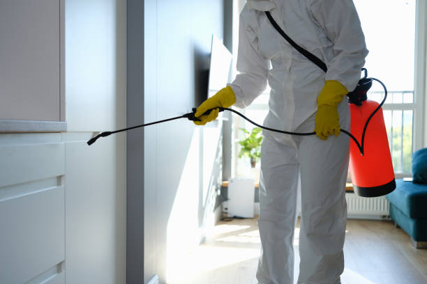 Best Mold Odor Removal Services  in Coventry Lake, CT