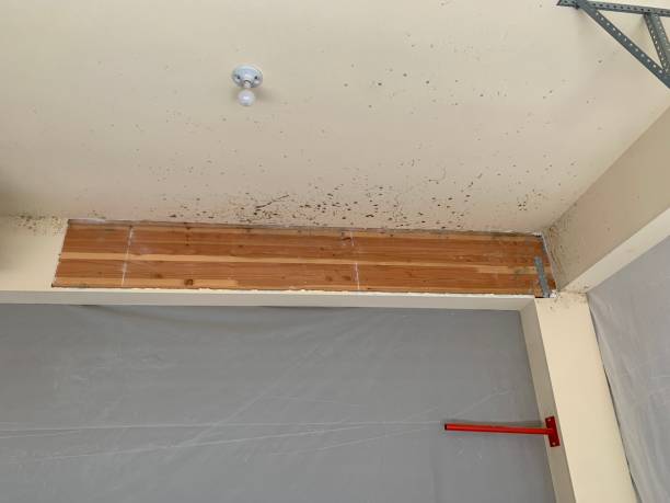 Best Comprehensive Air Testing for Mold Contaminants  in Coventry Lake, CT